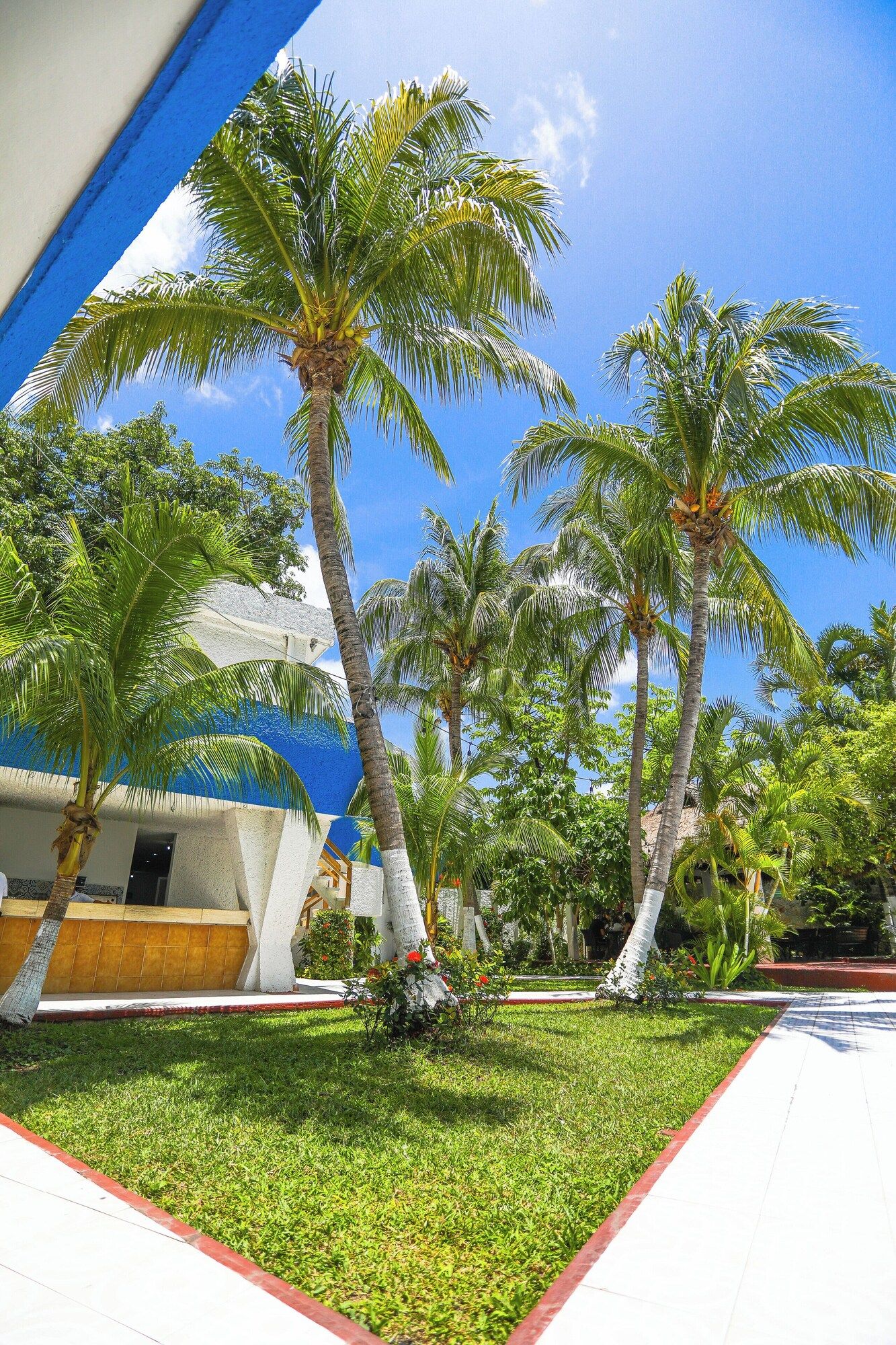 Outdoor view