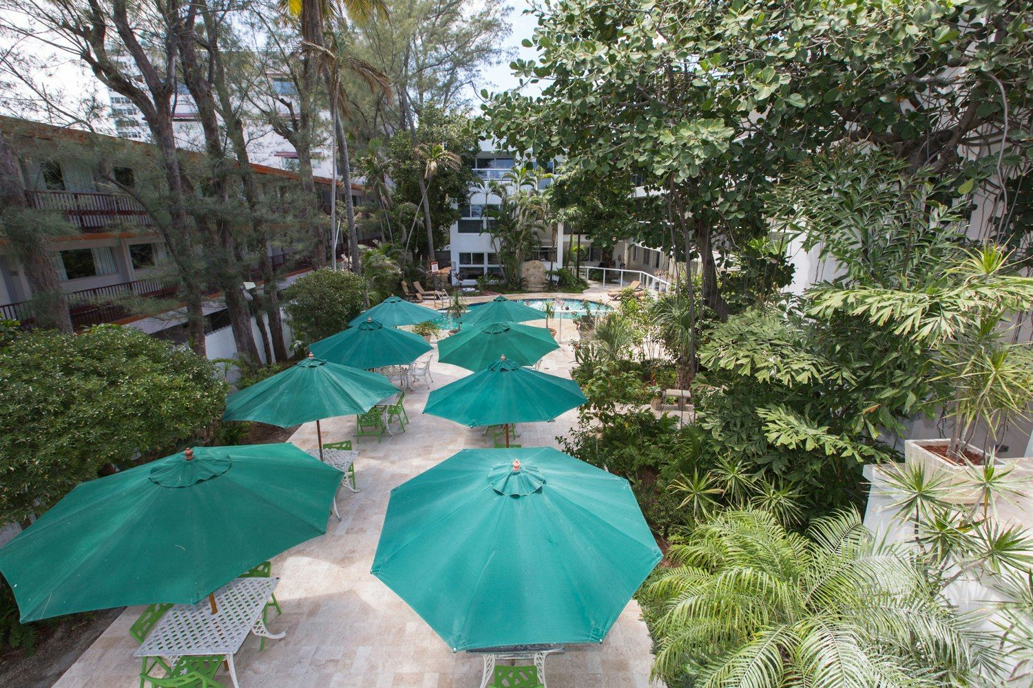 Outdoor view