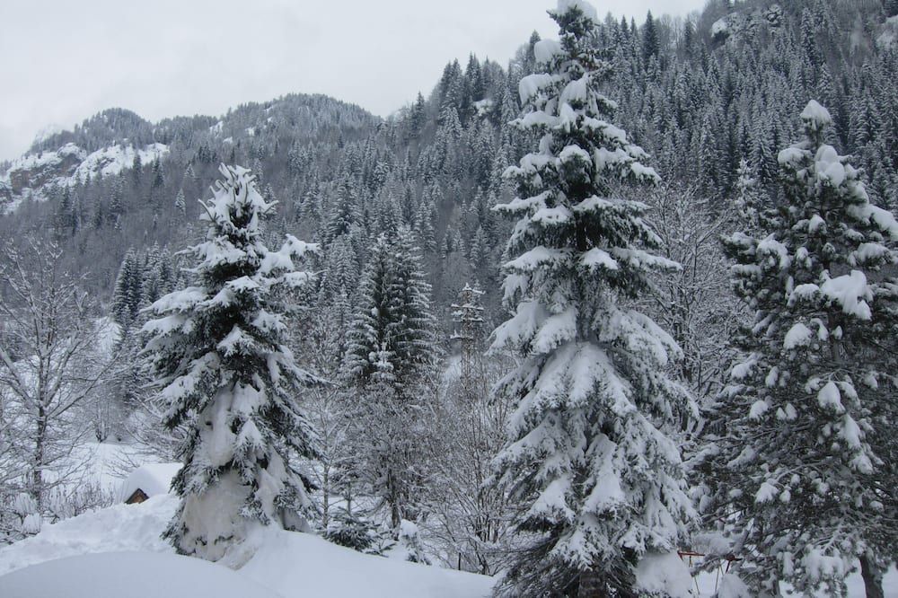 Outdoor view