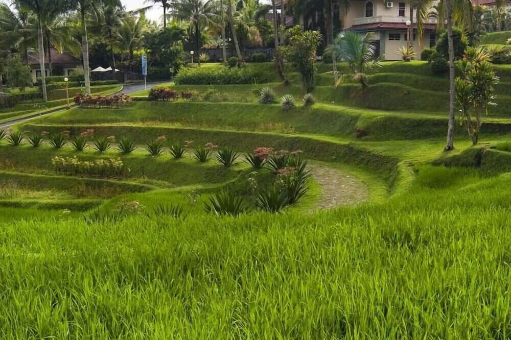 Outdoor view