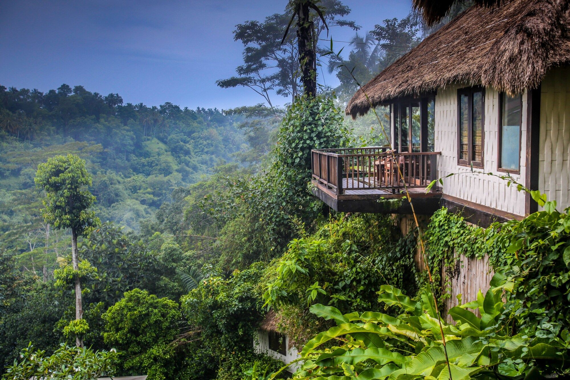 Outdoor view