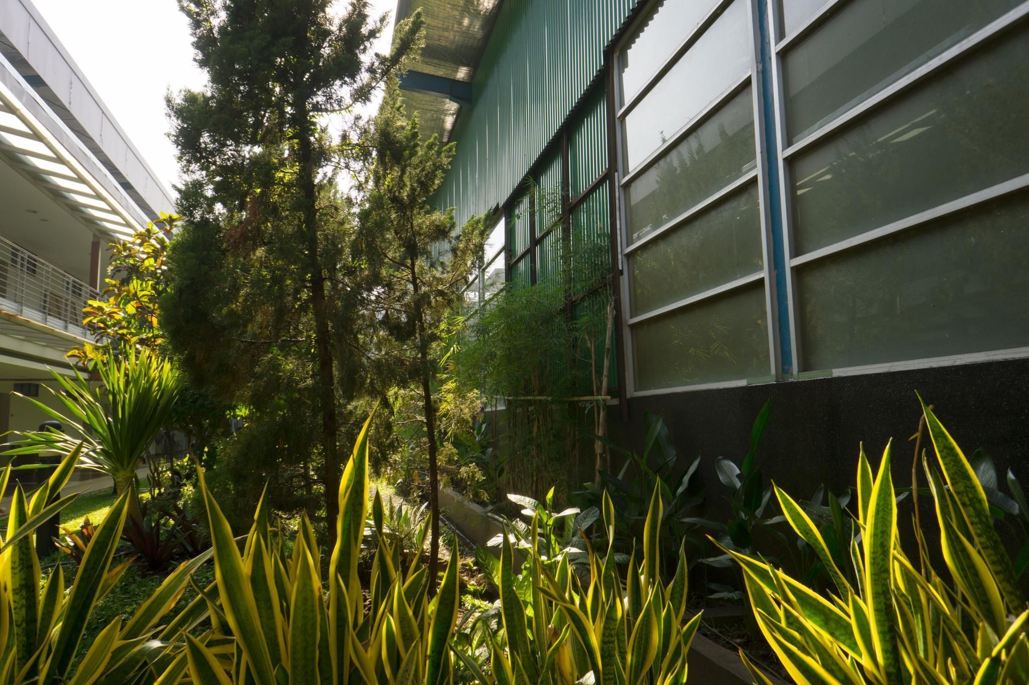 Outdoor view