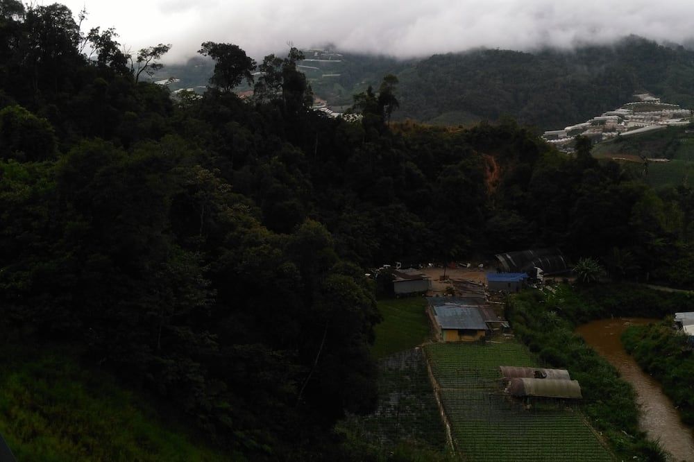 Outdoor view