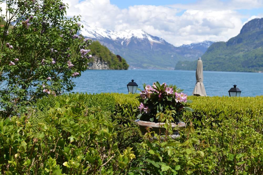 Outdoor view