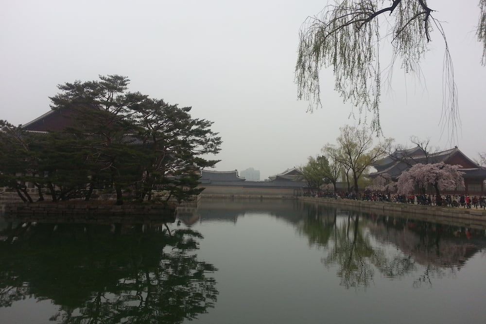 Outdoor view
