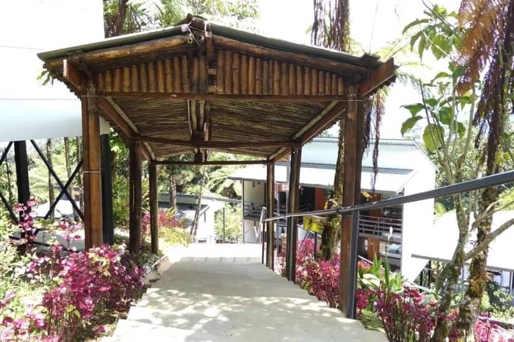 Outdoor view