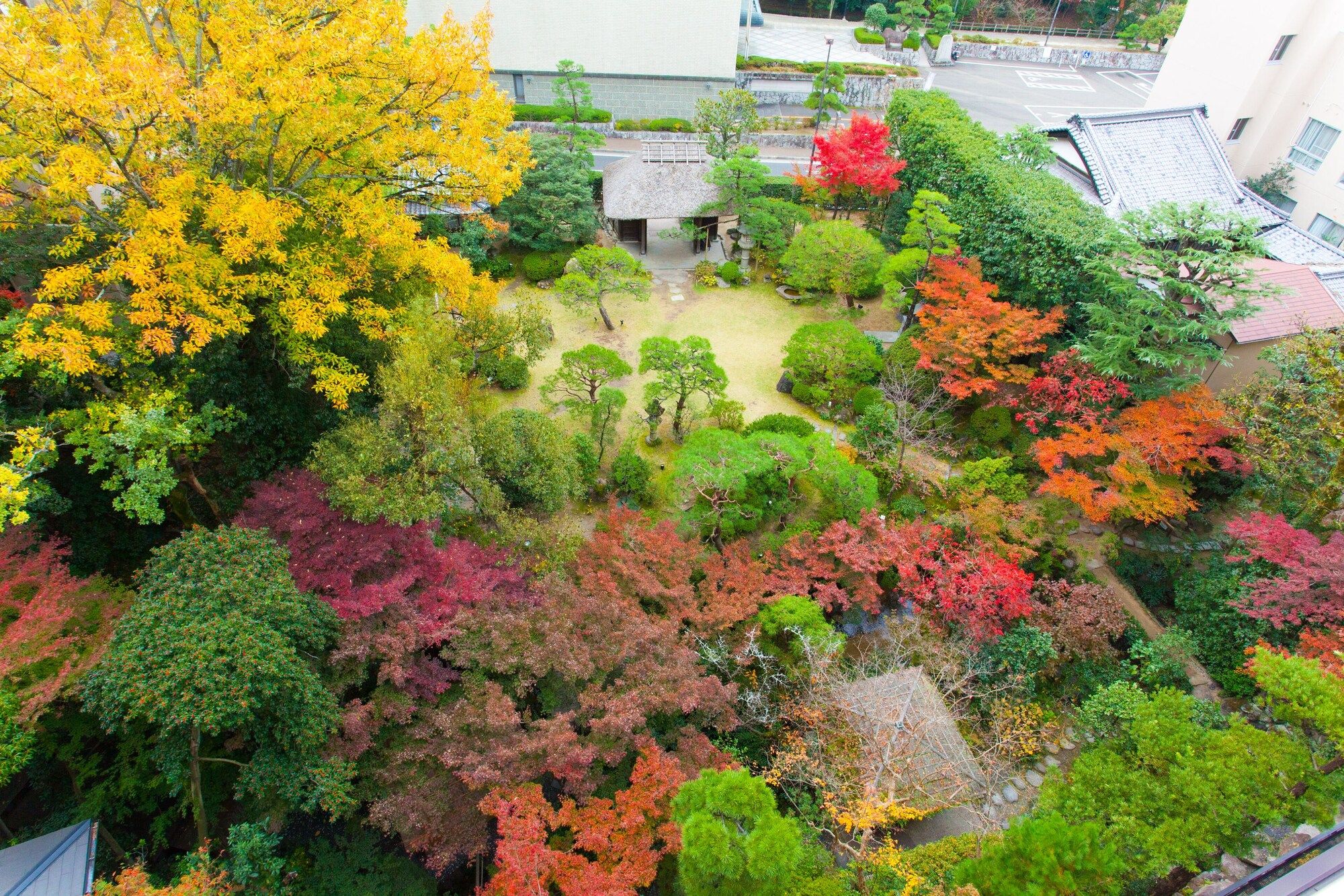 Outdoor view