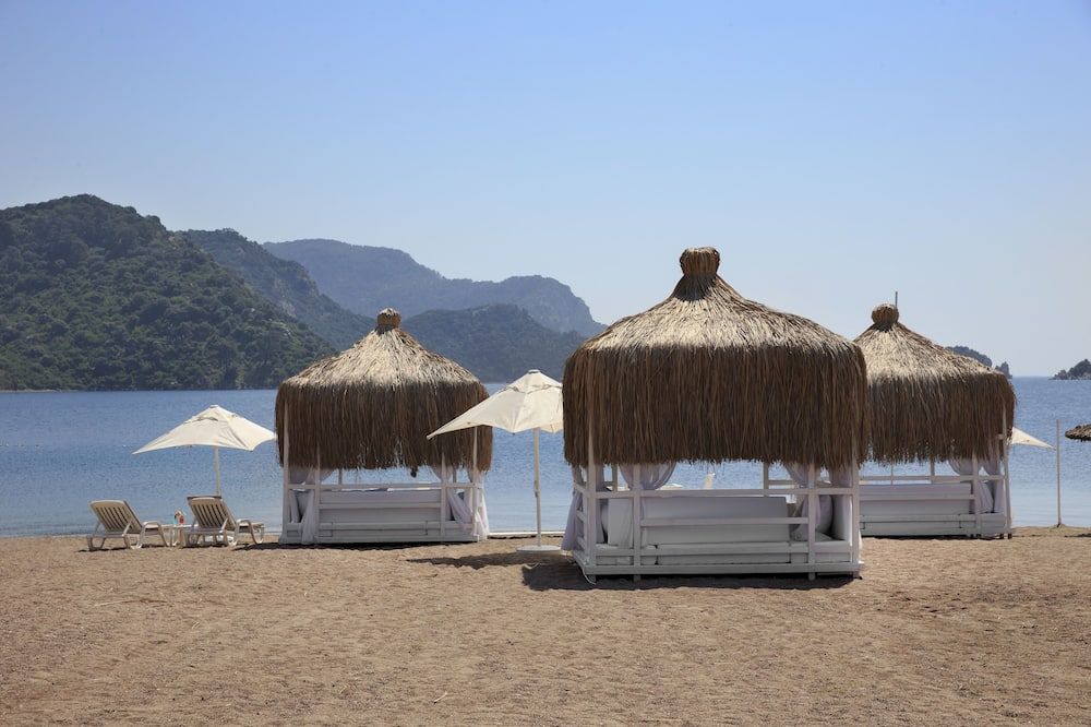 Other
