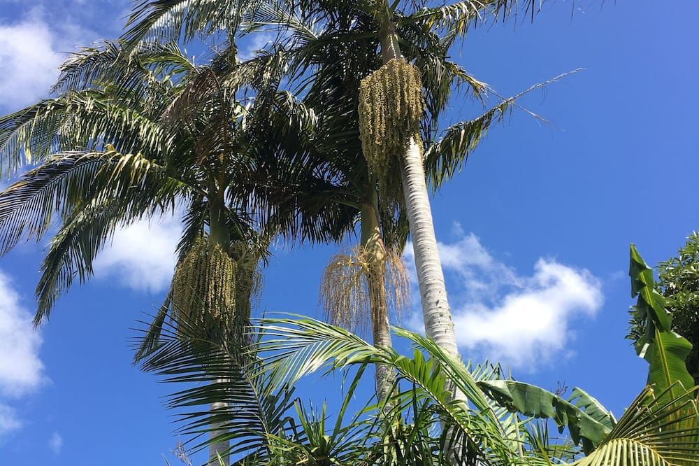 Outdoor view