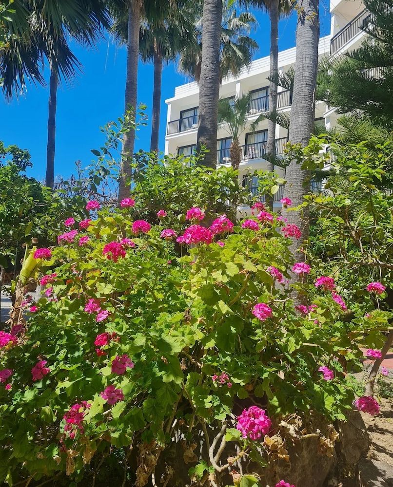 Outdoor view