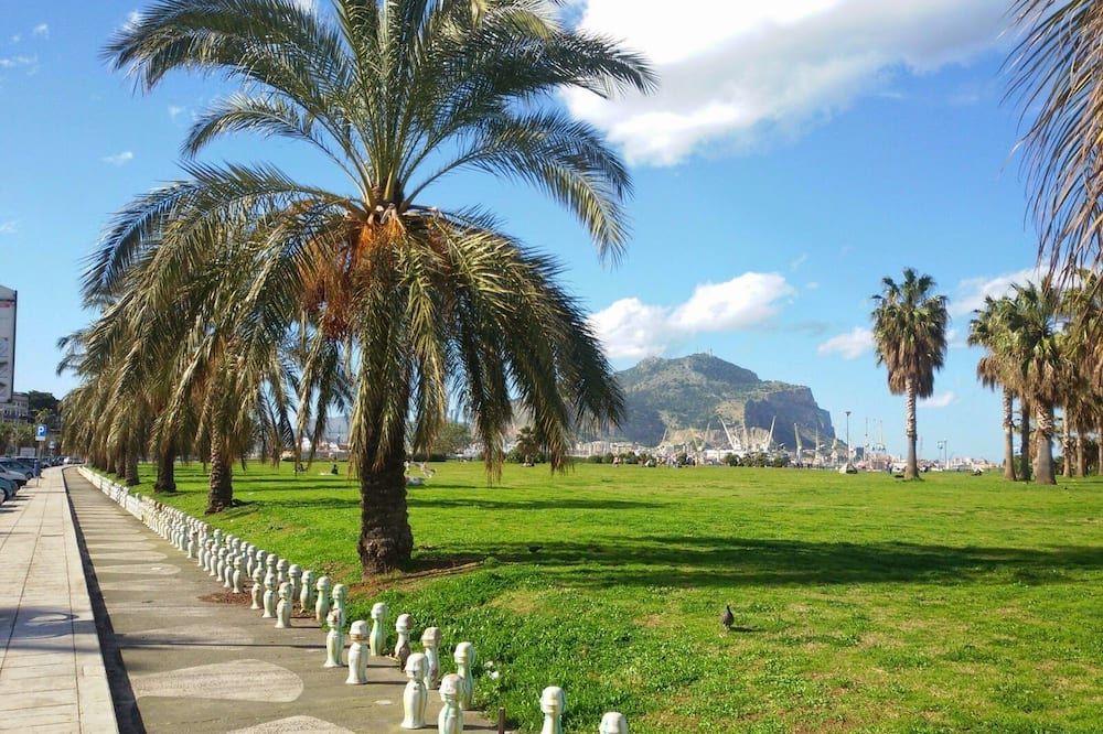 Outdoor view