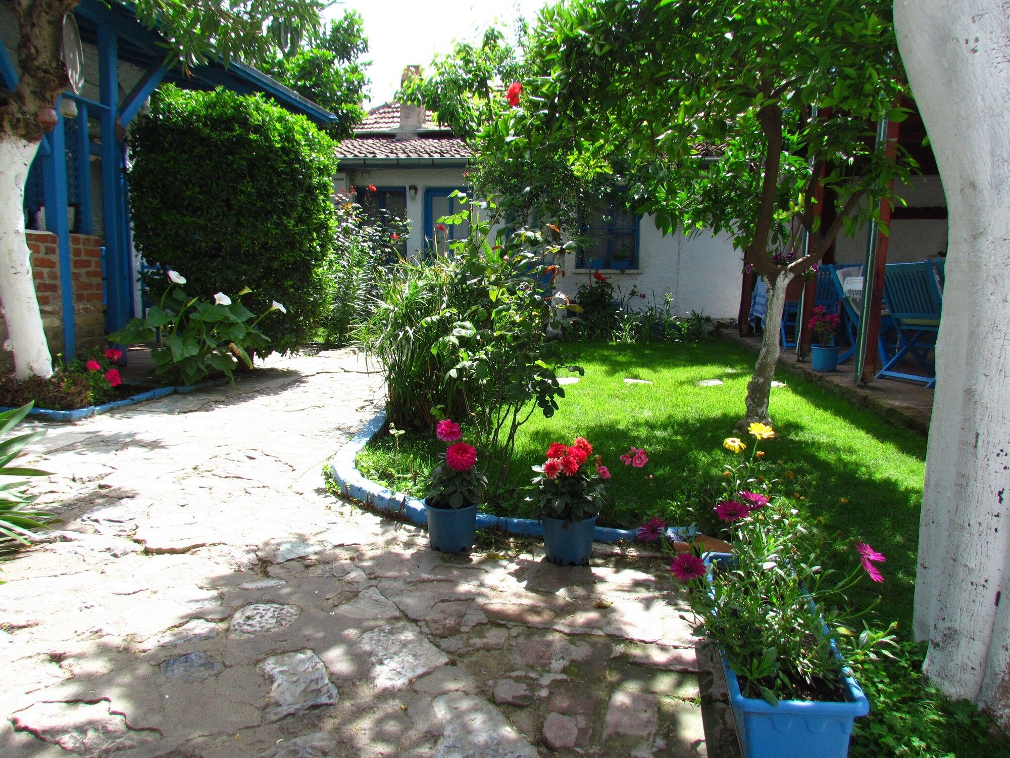 Outdoor view