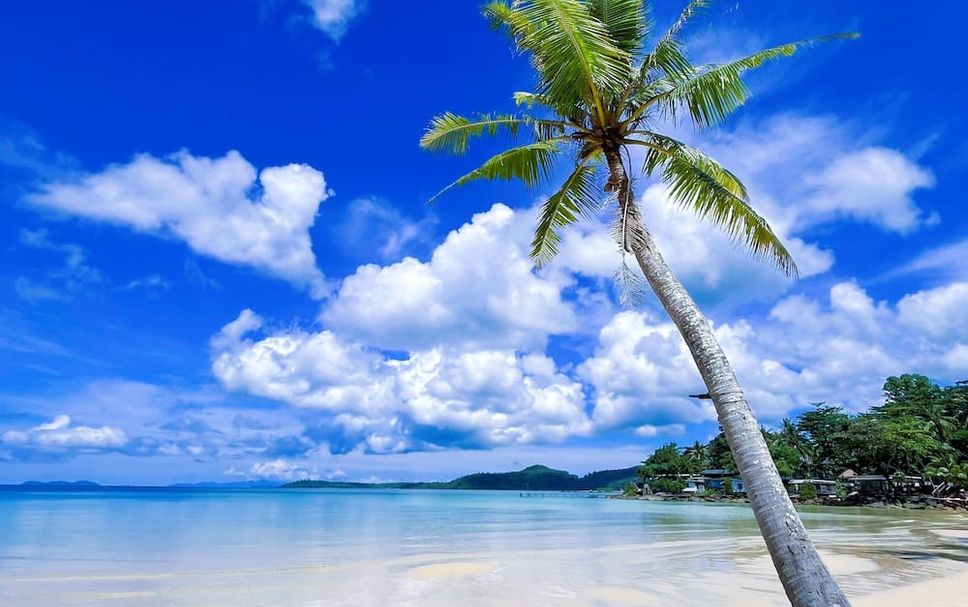 Beach Photo