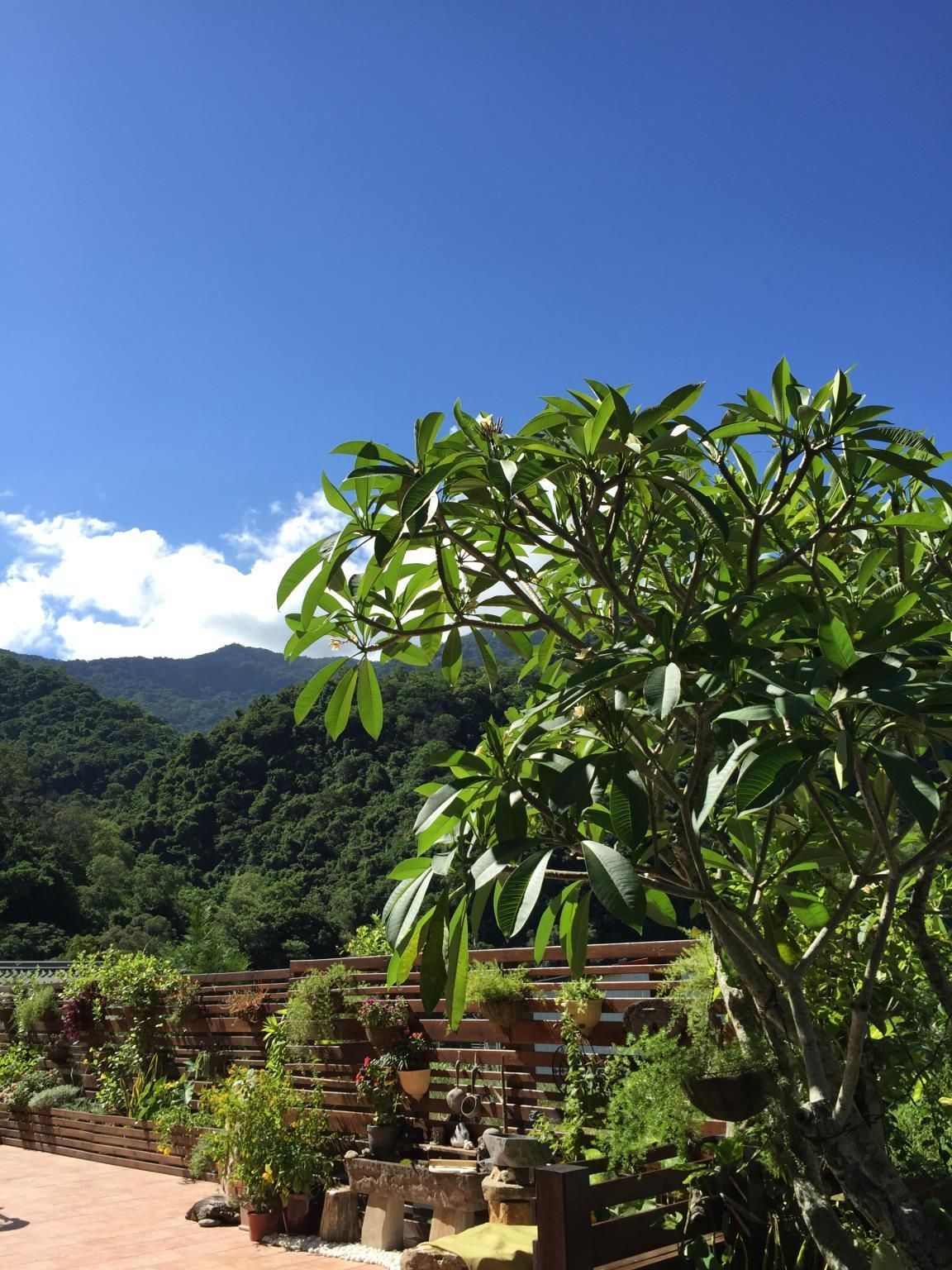 Outdoor view