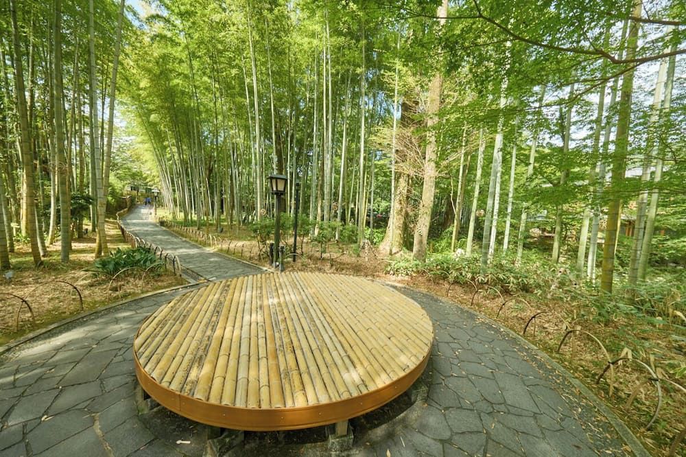 Outdoor view