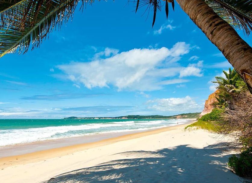 Beach Photo