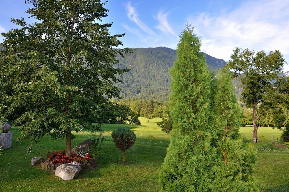 Outdoor view