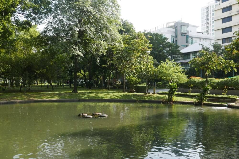 Outdoor view