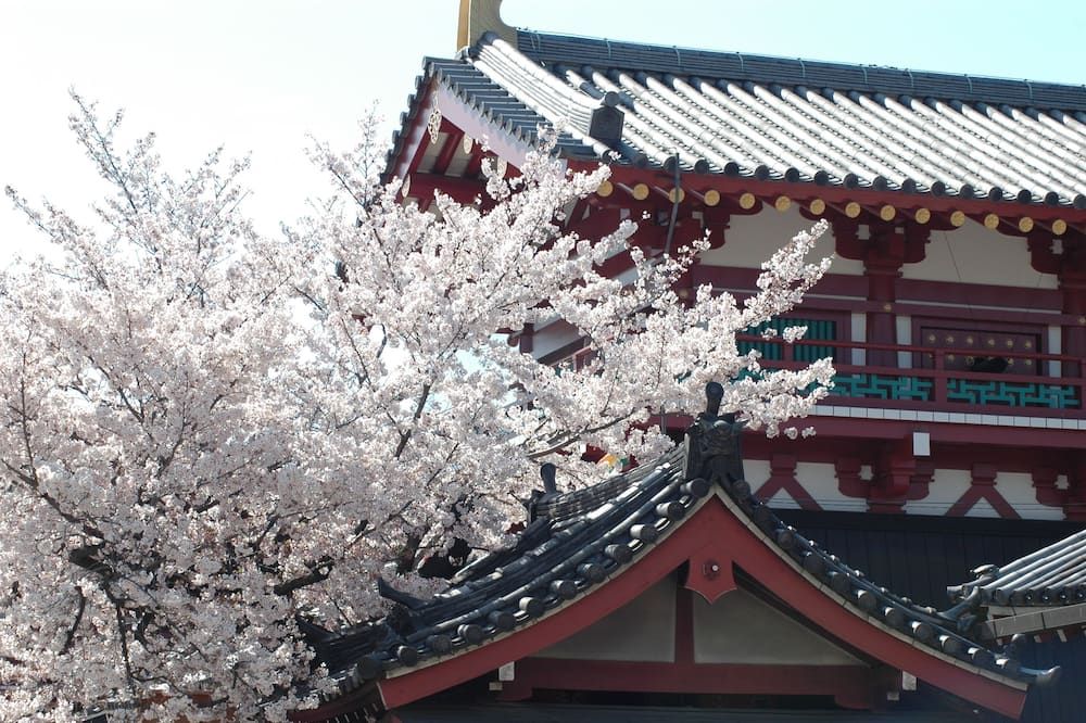 Outdoor view
