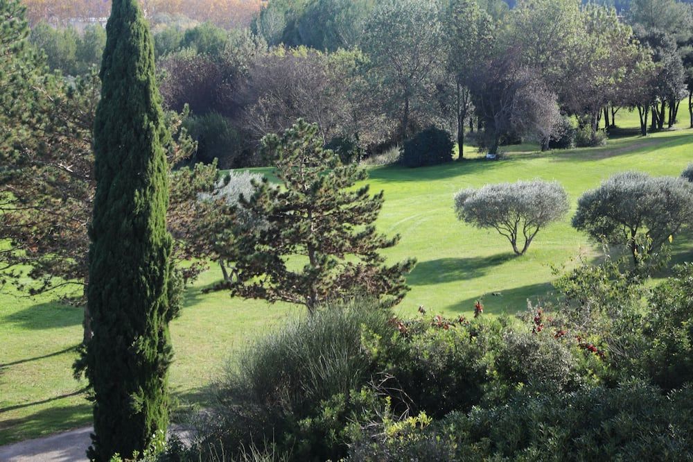 Outdoor view