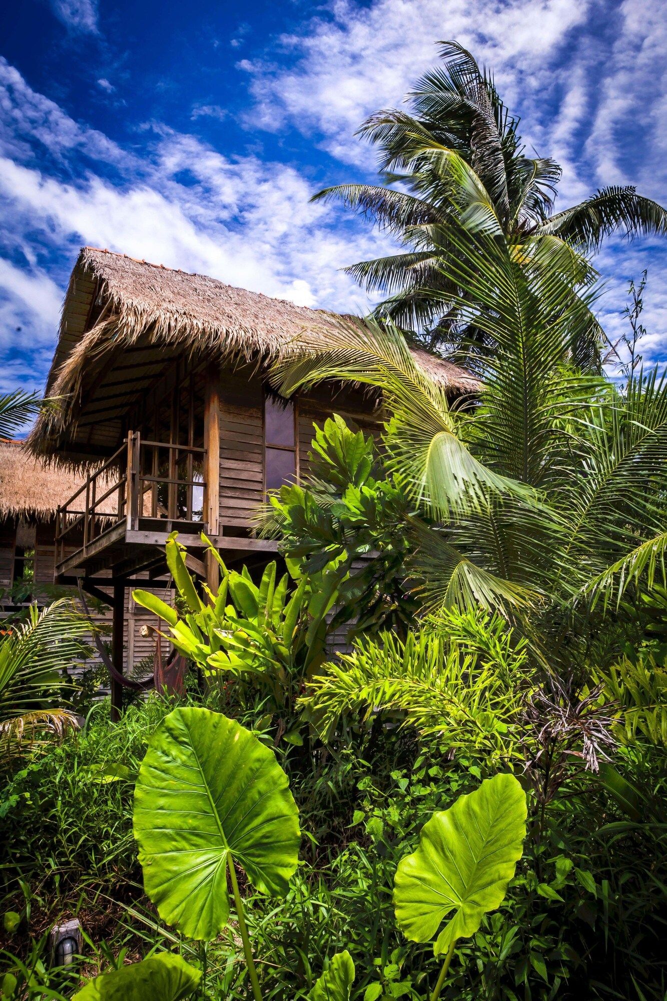 Outdoor view