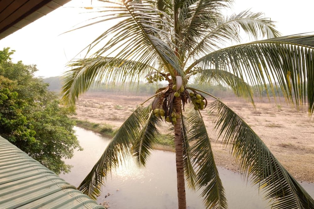 Outdoor view