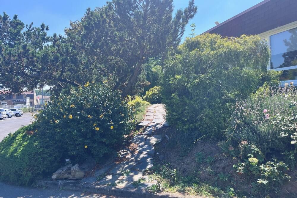 Outdoor view