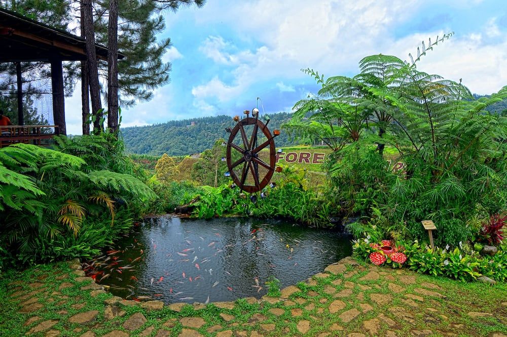 Outdoor view