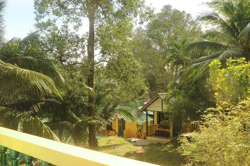 Outdoor view