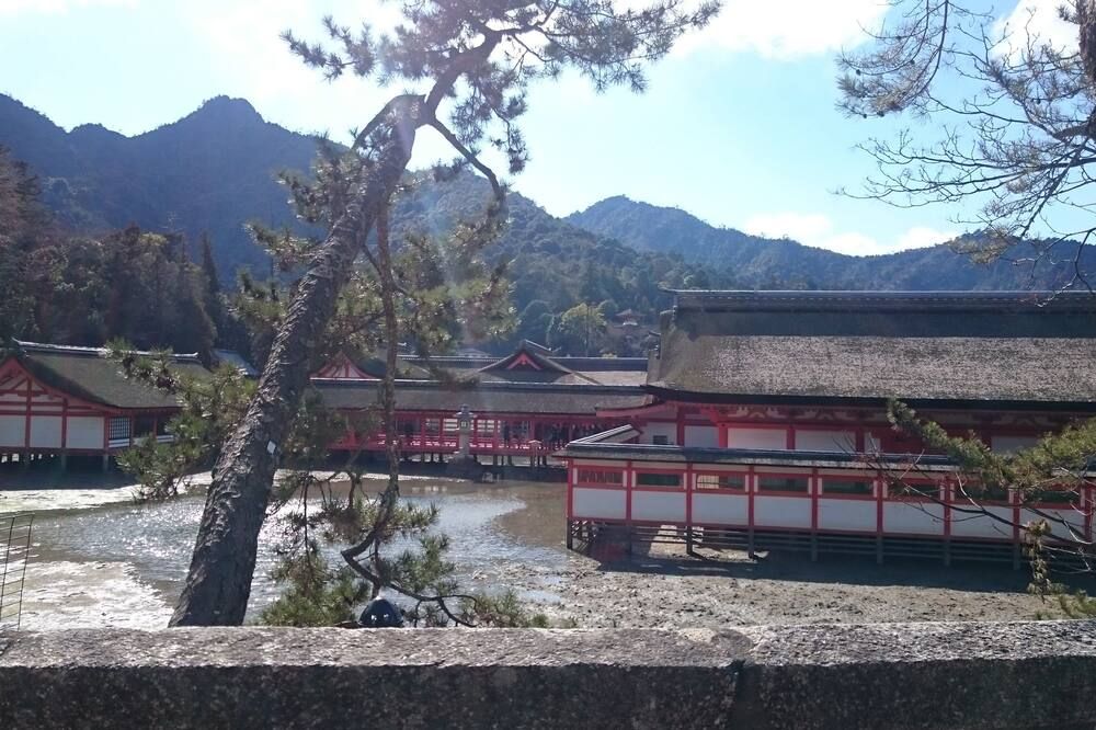 Outdoor view