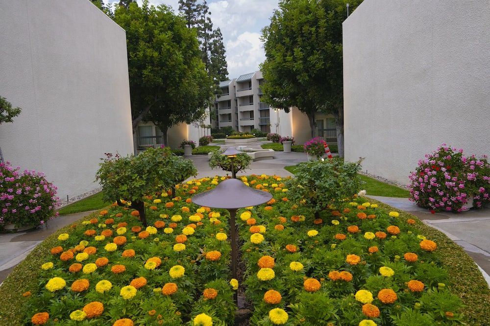 Outdoor view