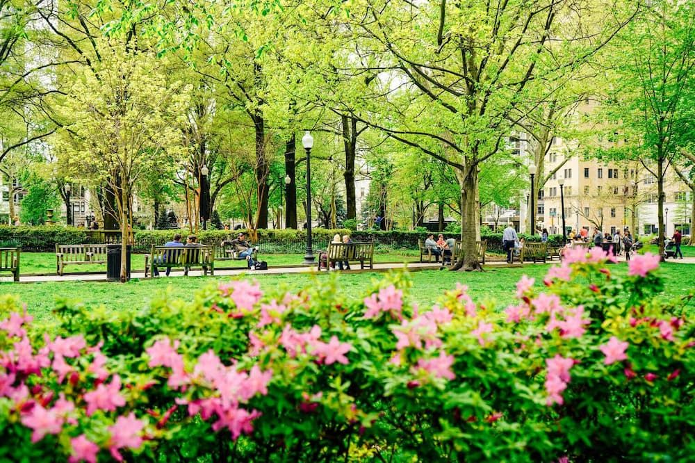 Outdoor view