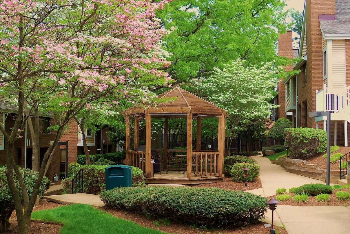 Outdoor view