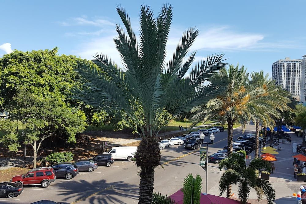 Outdoor view
