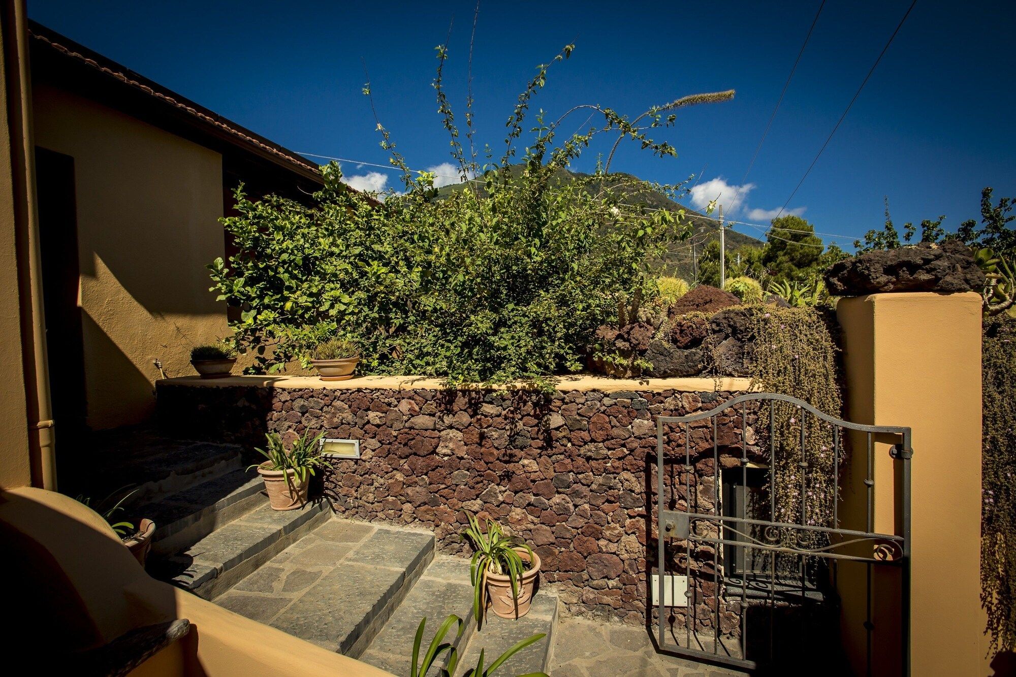 Outdoor view