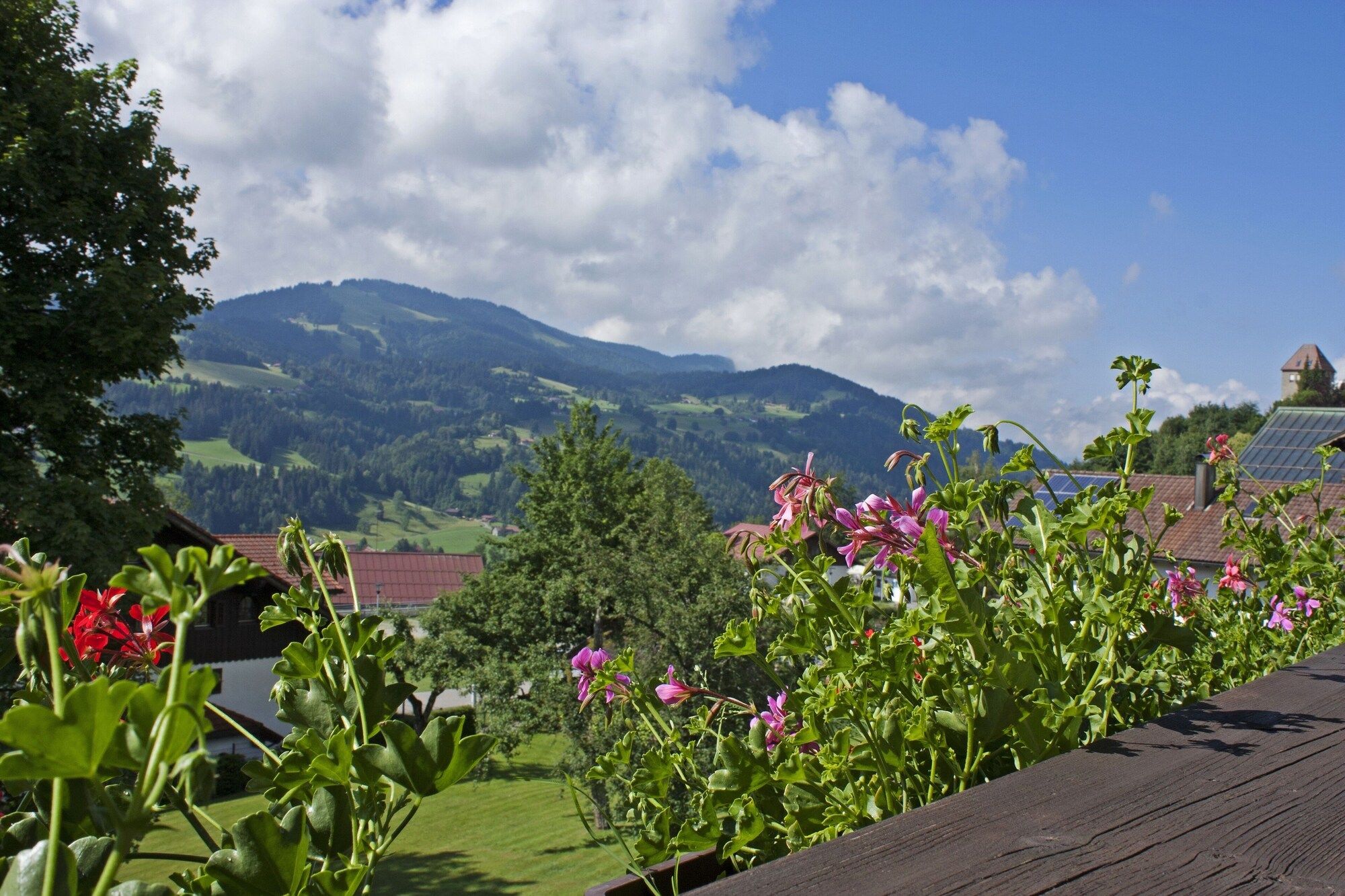 Outdoor view