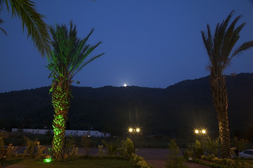 Outdoor view