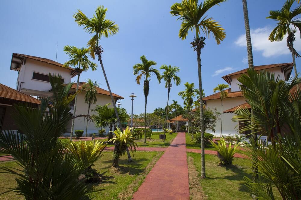 Outdoor view