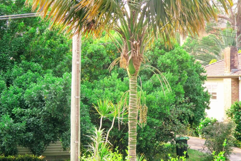Outdoor view