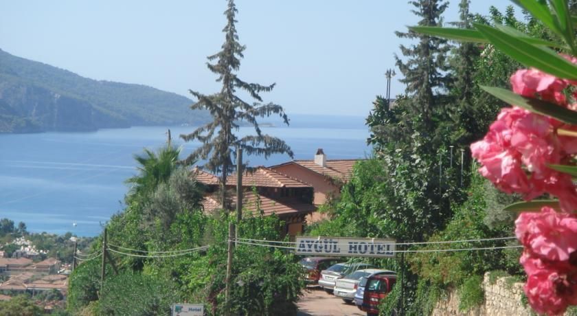 Outdoor view