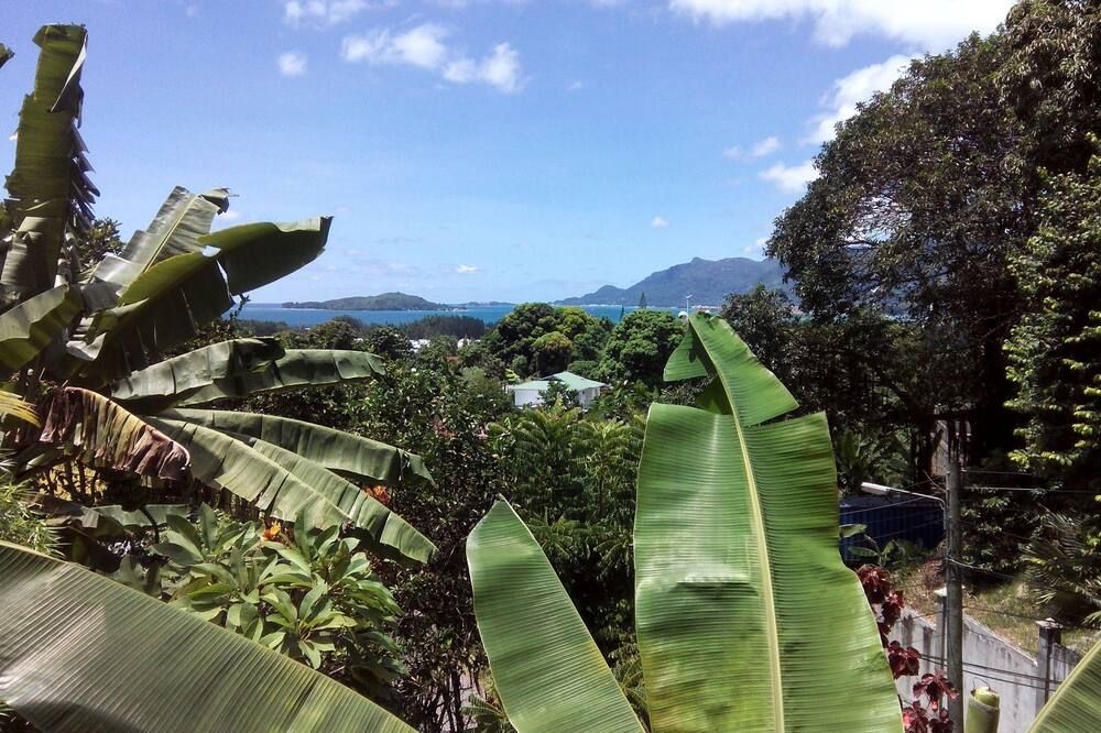 Outdoor view