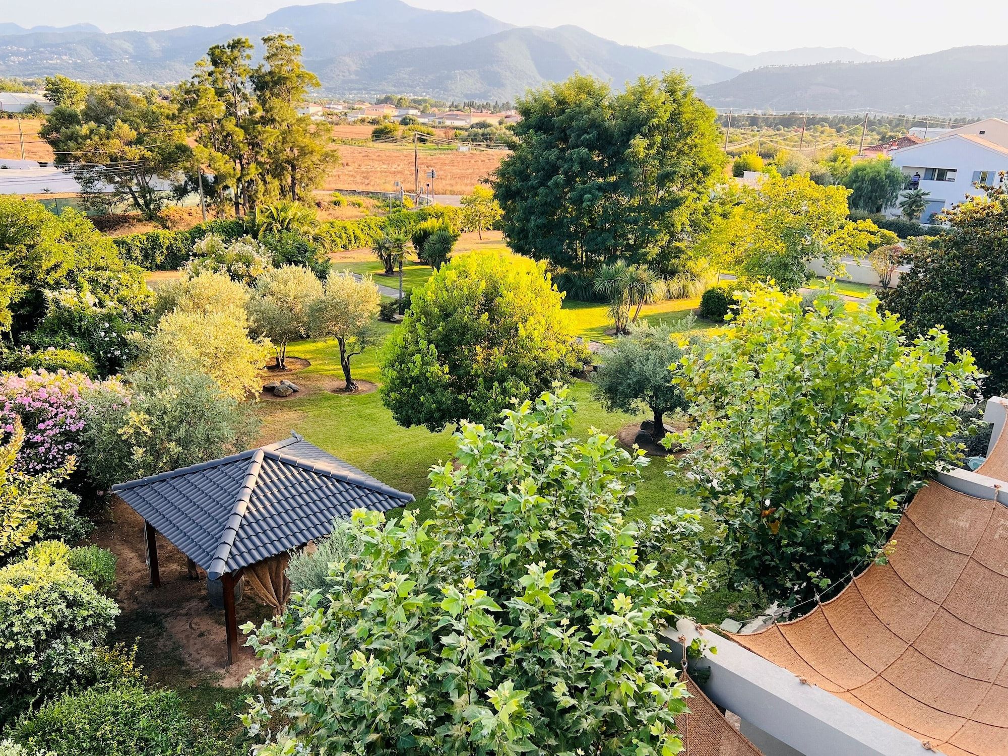 Outdoor view