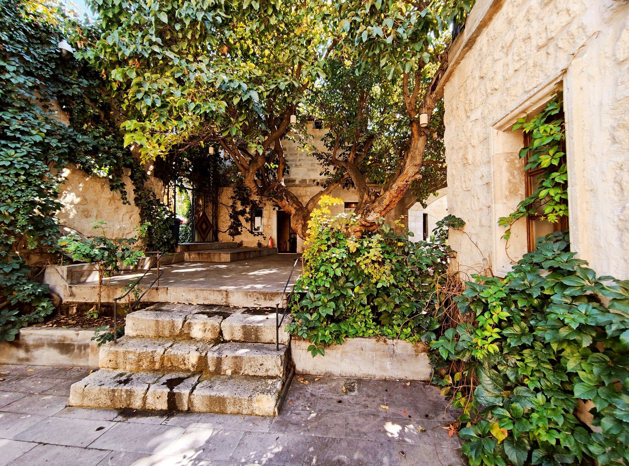 Outdoor view