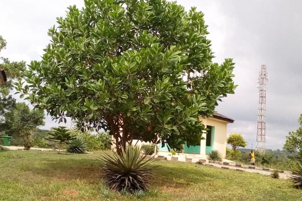 Outdoor view
