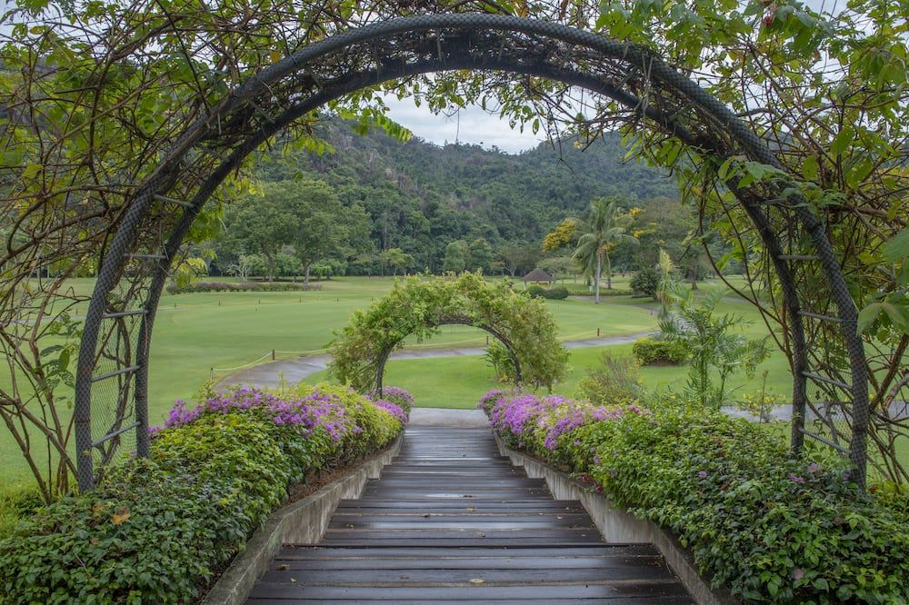 Outdoor view
