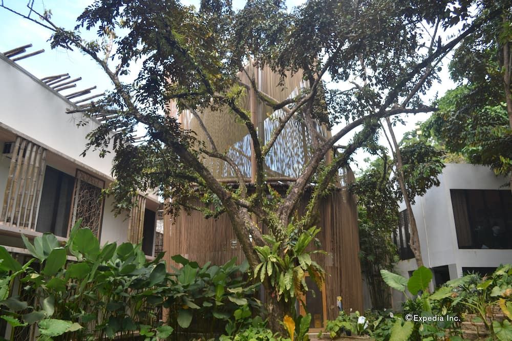 Outdoor view