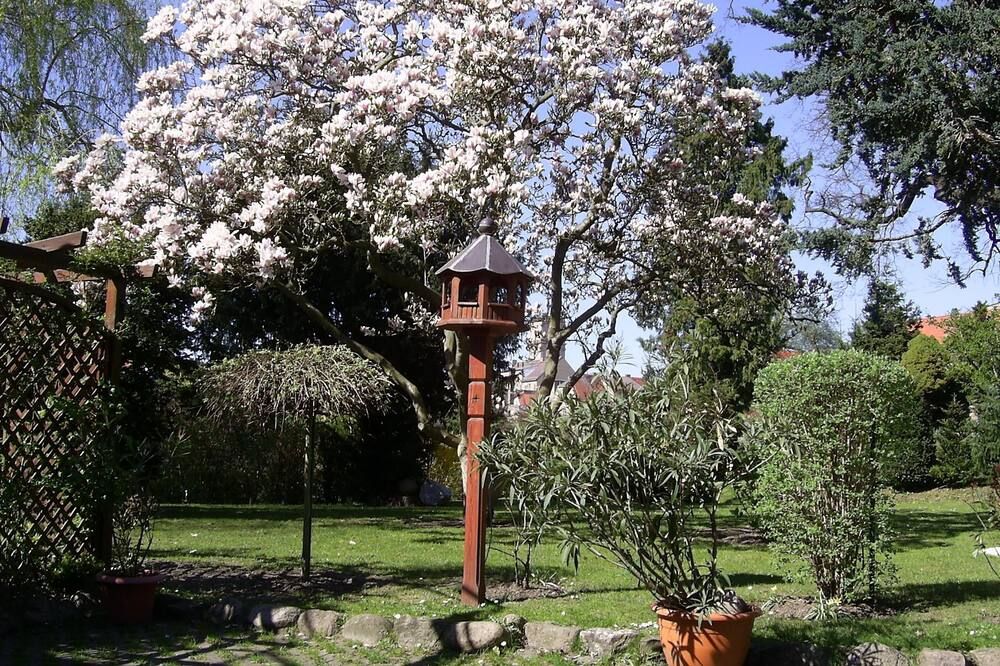 Outdoor view