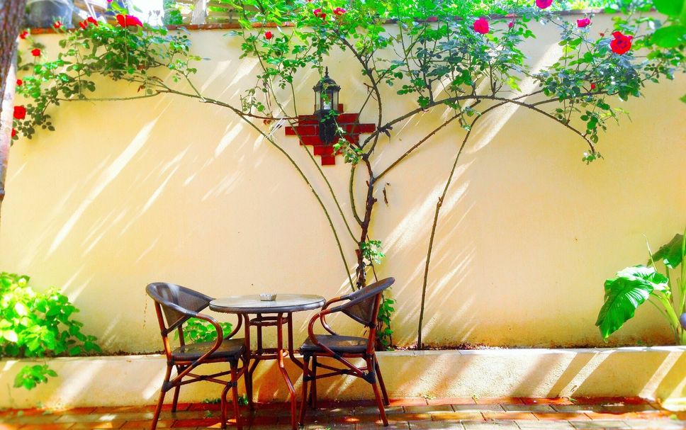 Patio Photo