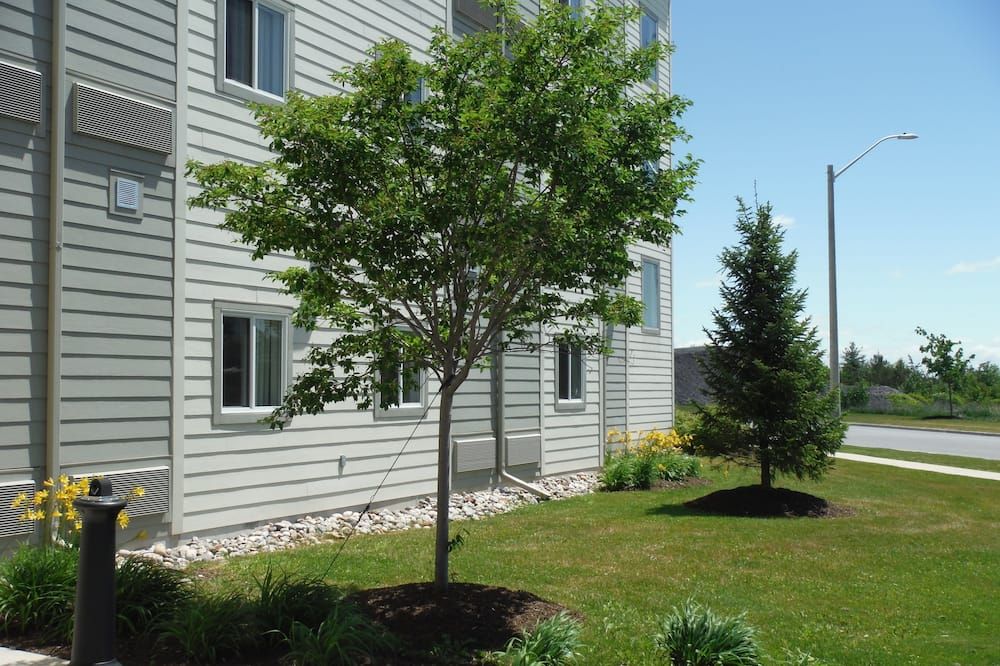 Outdoor view