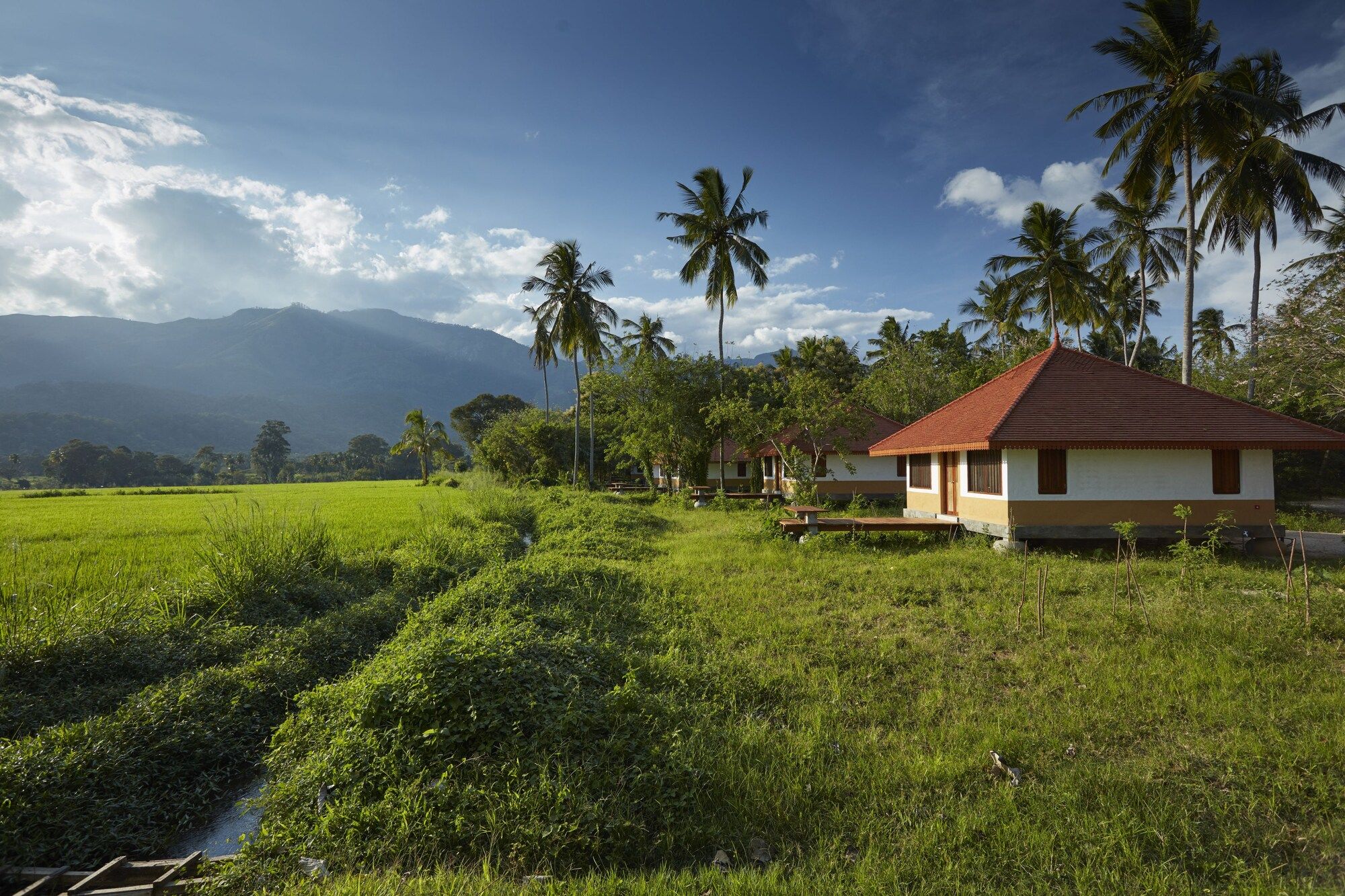 Outdoor view